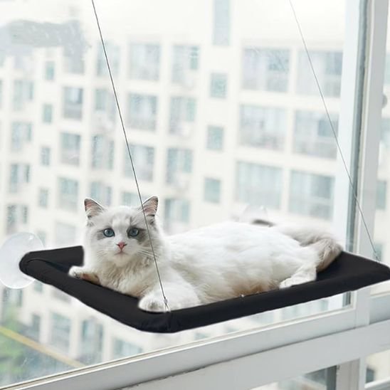 Hamac Chat Fenêtre | CozyView - Chats Dormeurs