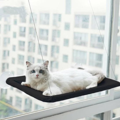 Hamac Chat Fenêtre | CozyView - Chats Dormeurs