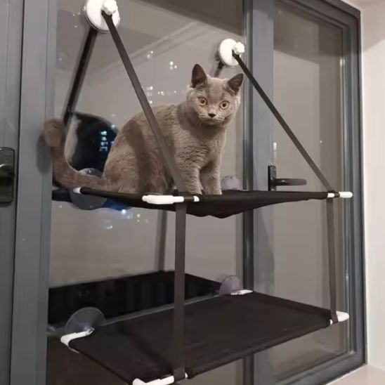 Hamac Chat Fenêtre | CozyView - Chats Dormeurs