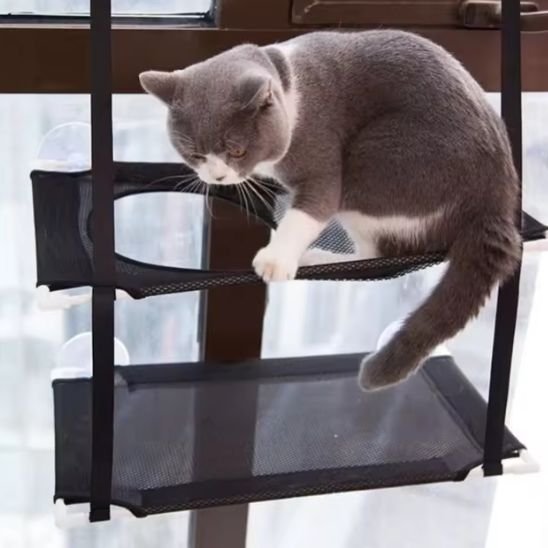 Hamac Chat Fenêtre | CozyView - Chats Dormeurs