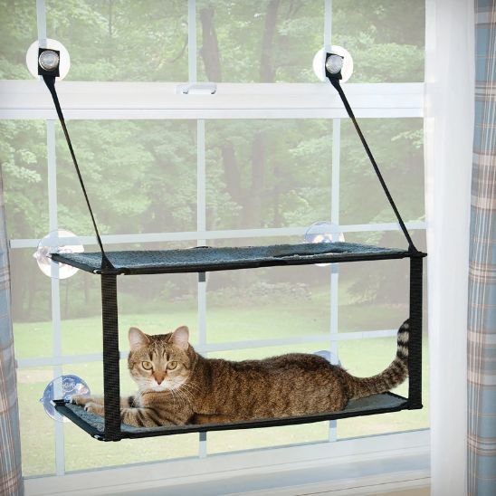 Hamac Chat Fenêtre | CozyView - Chats Dormeurs