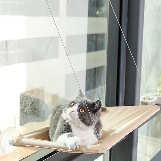 Hamac Chat Fenêtre | CozyView - Chats Dormeurs