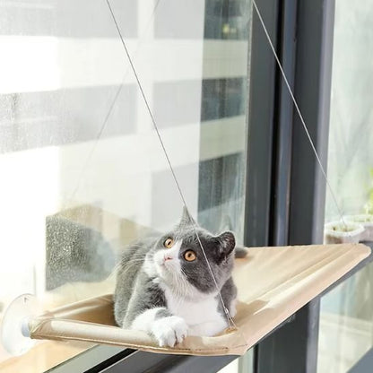 Hamac Chat Fenêtre | CozyView - Chats Dormeurs