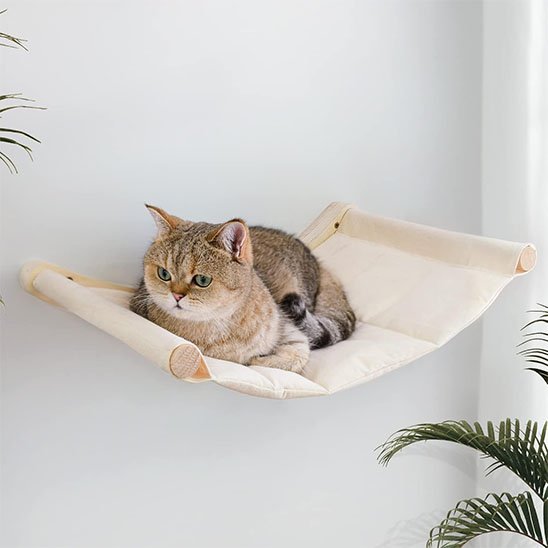 Hamac chat | Fixation fenêtre - Chats Dormeurs