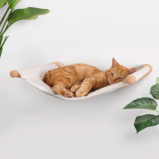Hamac chat | Fixation fenêtre - Chats Dormeurs