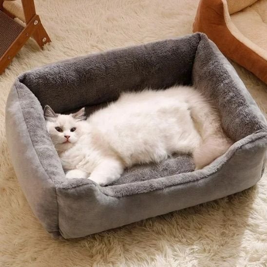 Lit chat | Cozy Design - Chats Dormeurs