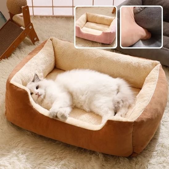 Lit chat | Cozy Design - Chats Dormeurs