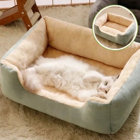 Lit chat | Cozy Design - Chats Dormeurs