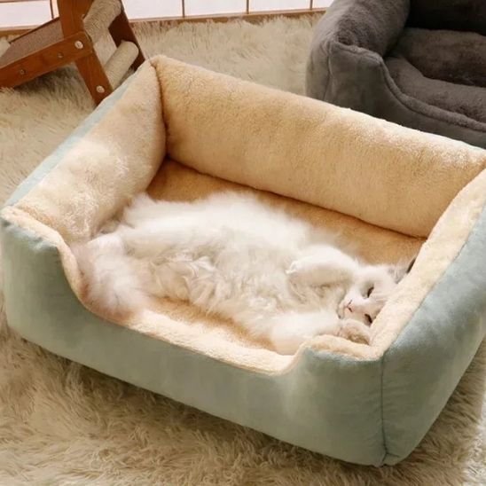 Lit chat | Cozy Design - Chats Dormeurs