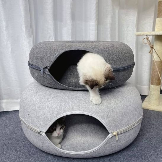 Lit chat | DouceurFelina - Chats Dormeurs