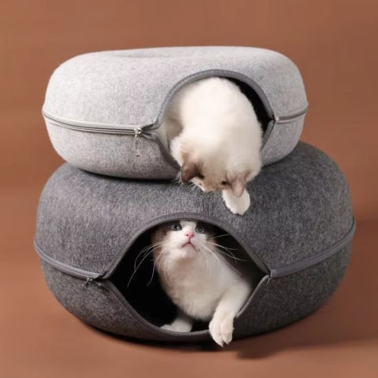 Lit chat | DouceurFelina - Chats Dormeurs