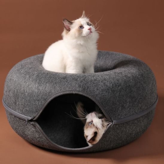 Lit chat | DouceurFelina - Chats Dormeurs
