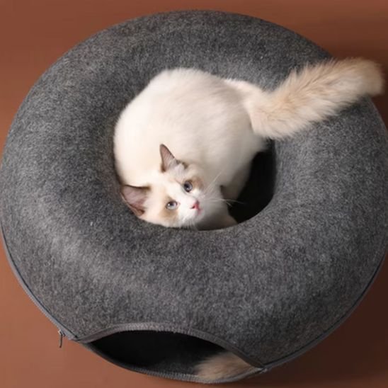 Lit chat | DouceurFelina - Chats Dormeurs