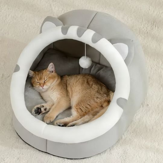 Lit pour chat | DreamyPaws - Chats Dormeurs