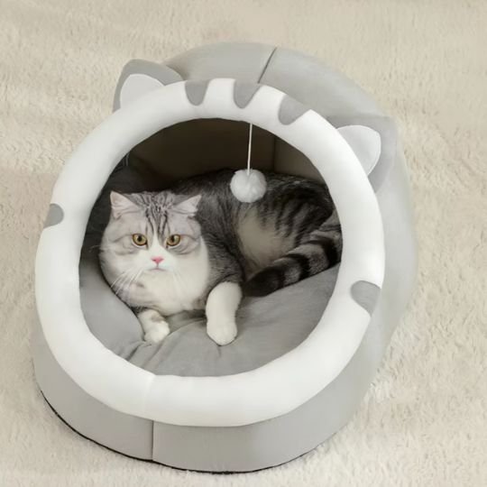 Lit pour chat | DreamyPaws - Chats Dormeurs