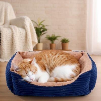 Panier chat | Ergonomique - Chats Dormeurs